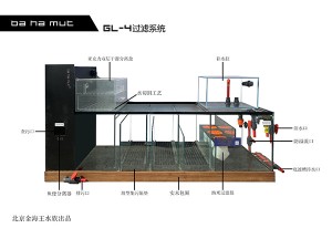 高端实木龙缸