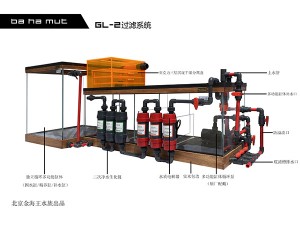 高端实木龙缸