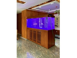 金海王实景案例图-龙巴克2.5米，双面看