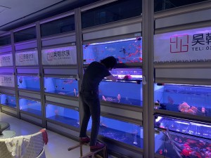 金海王实景案例图-组缸