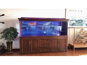 金海王实景案例图-法欧2.5米，红木